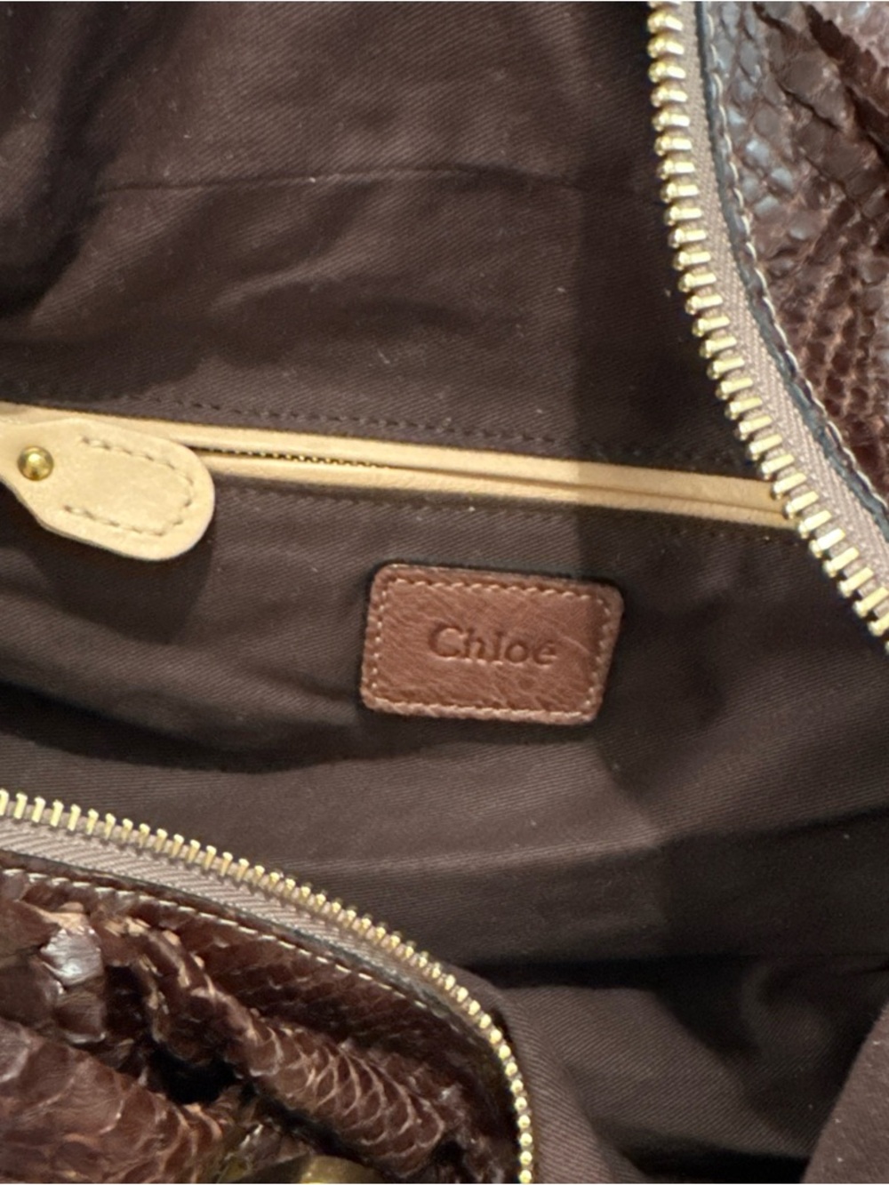Chloe Brown Python-Textured Hobo with Gold Hardware - Picture 10 of 15